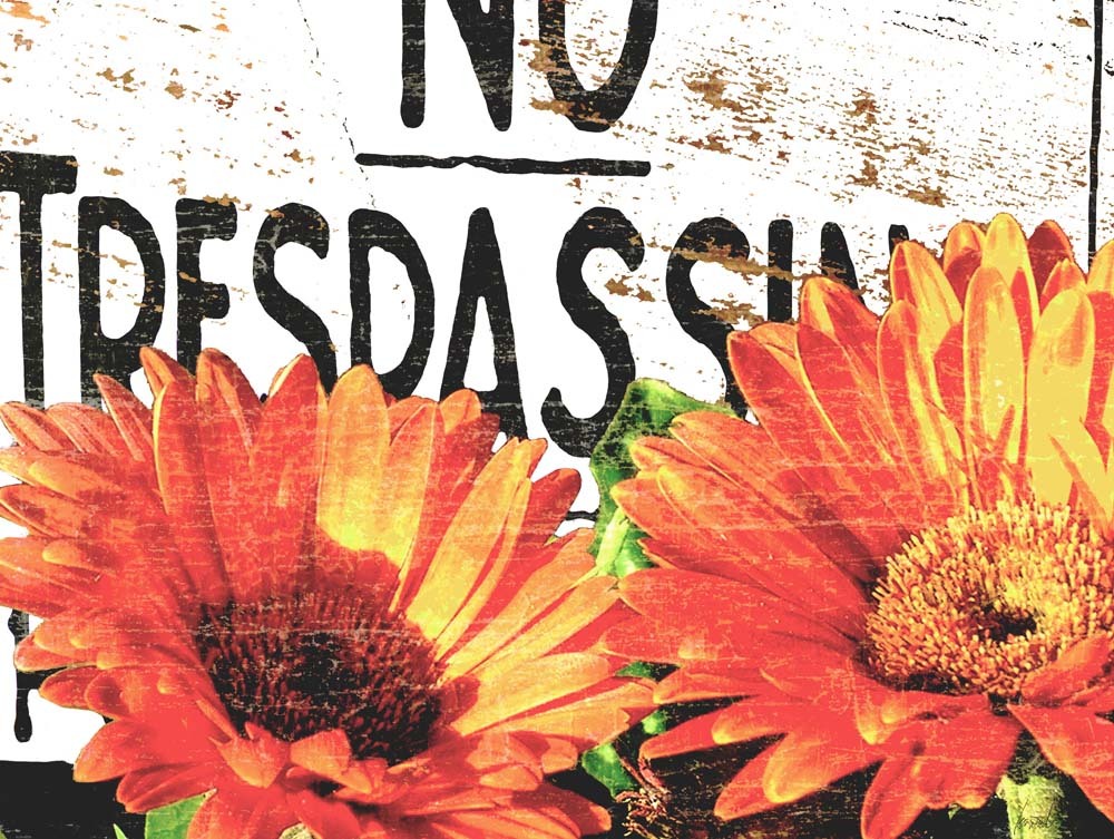 No Trespassing 4444-0084