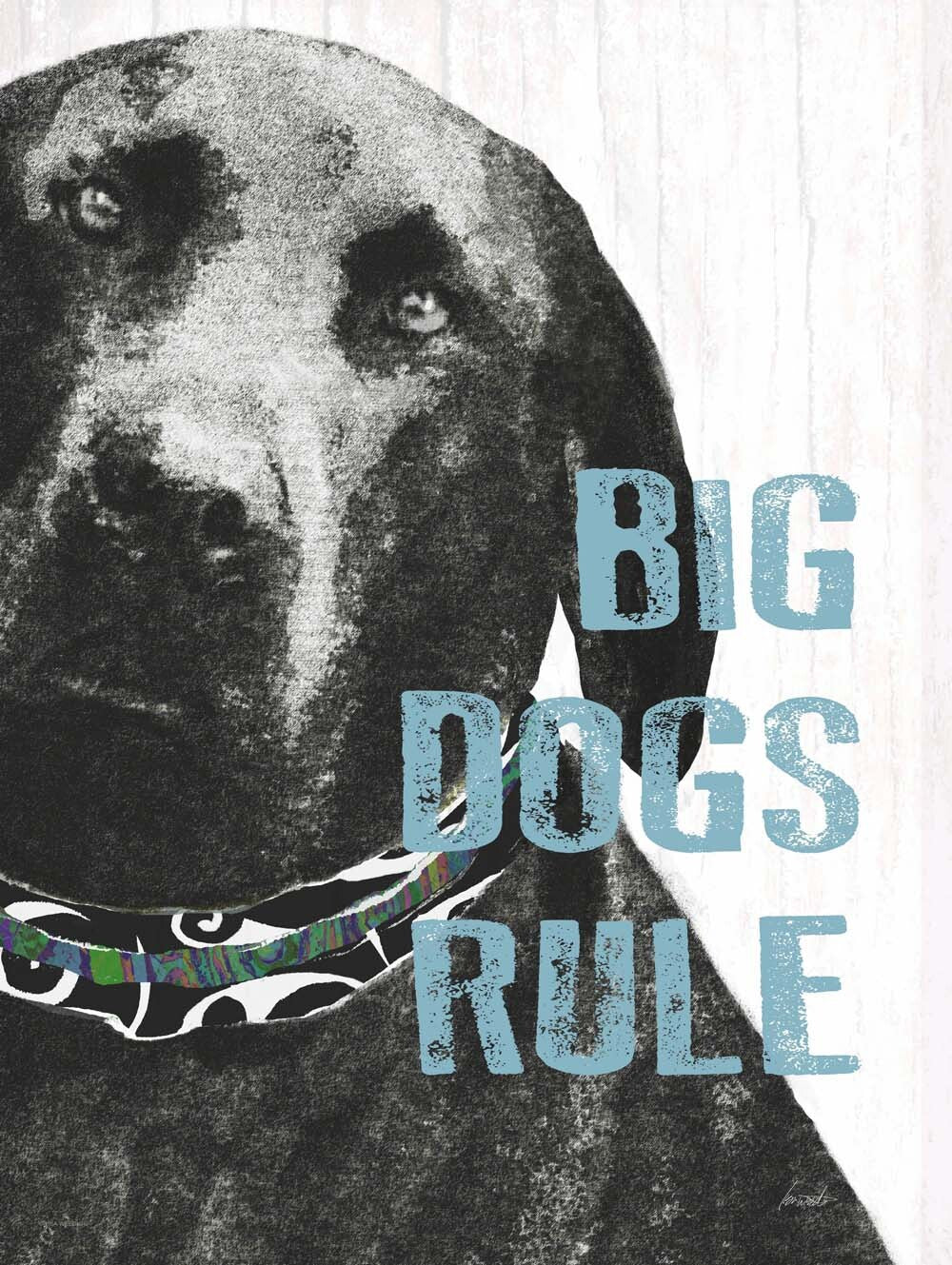 Big Dogs Rule 4444-0184