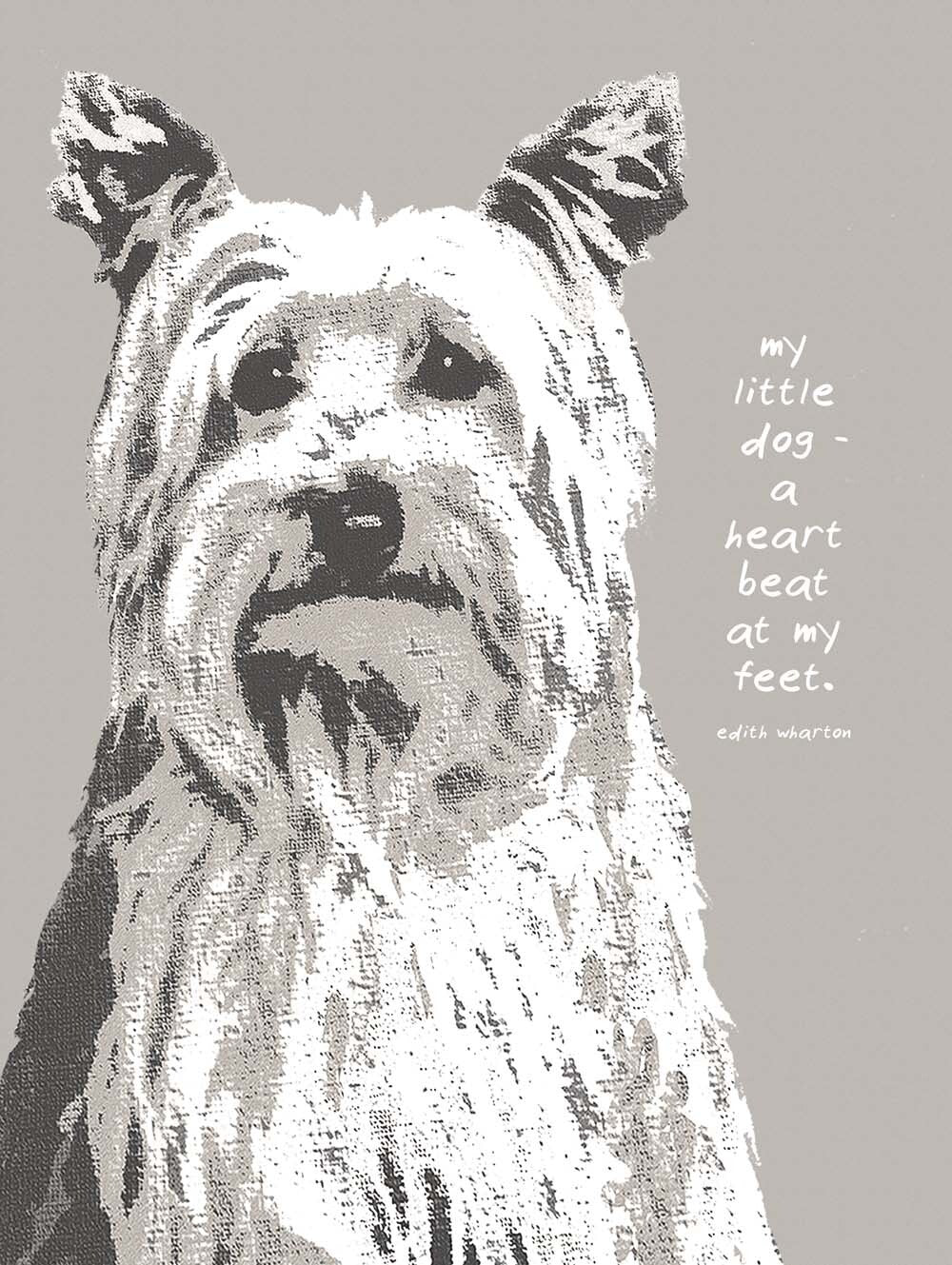 Little Dog 4444-0195