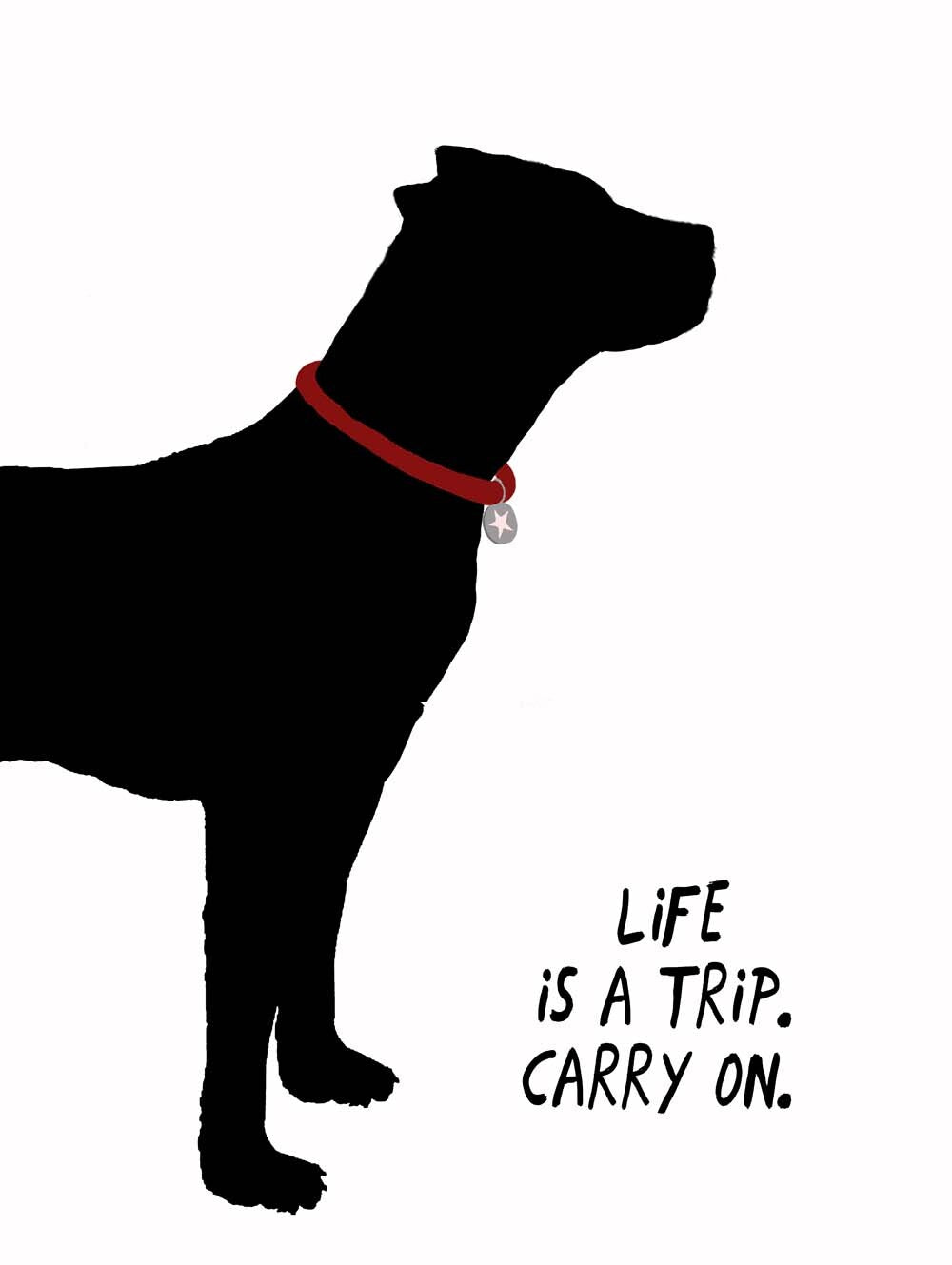 Life Is A Trip. Carry On. 4444-0257