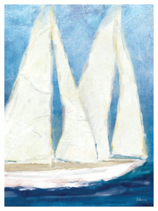 Two Sailboats - by Flavia Weedn  0003-4456