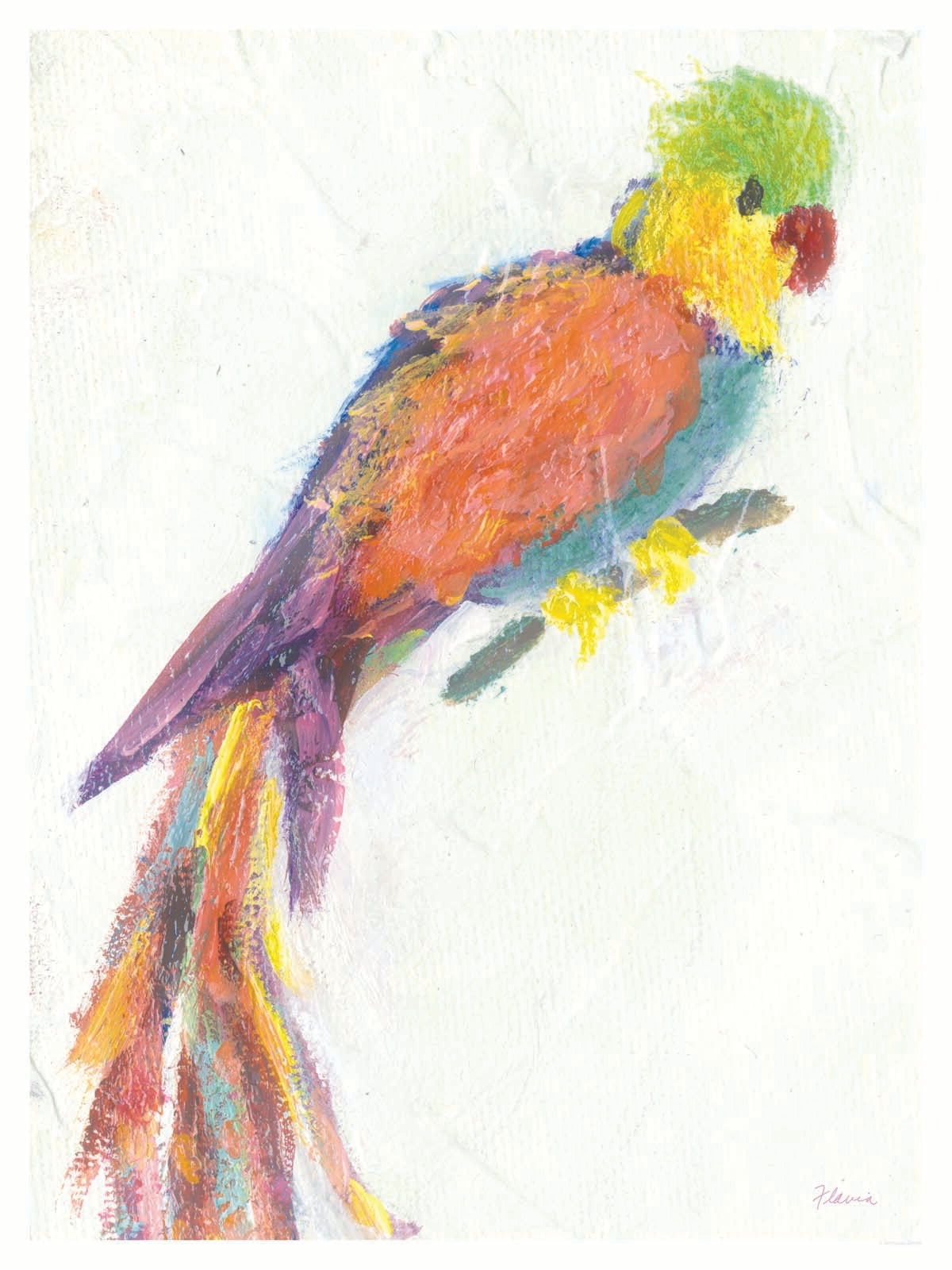 Parrot - by Flavia Weedn  0003-4459