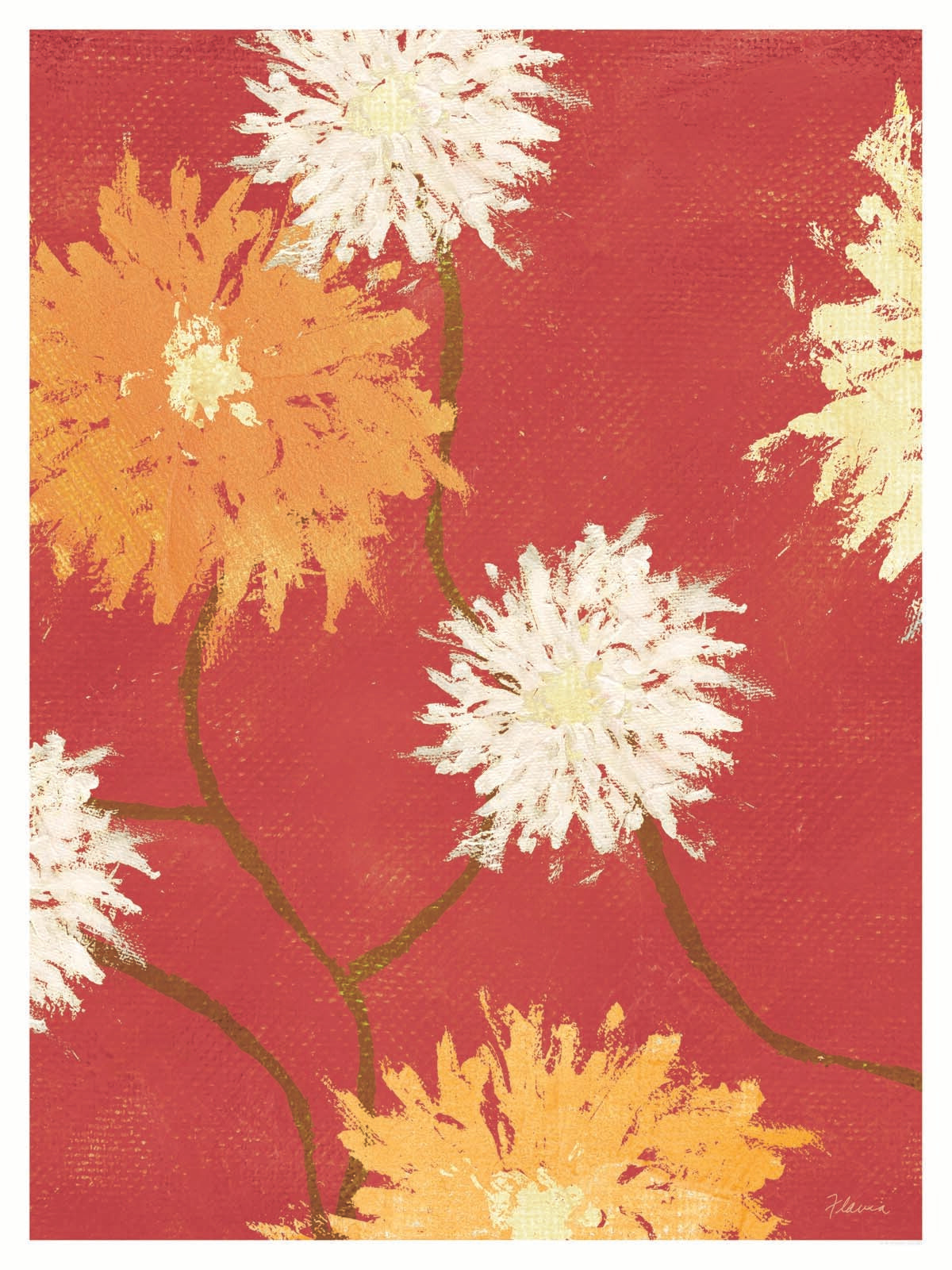 Orange & White Flowers - by Flavia Weedn  0003-4479