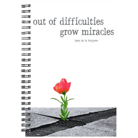 Lisa Weedn Miracles Notebooks