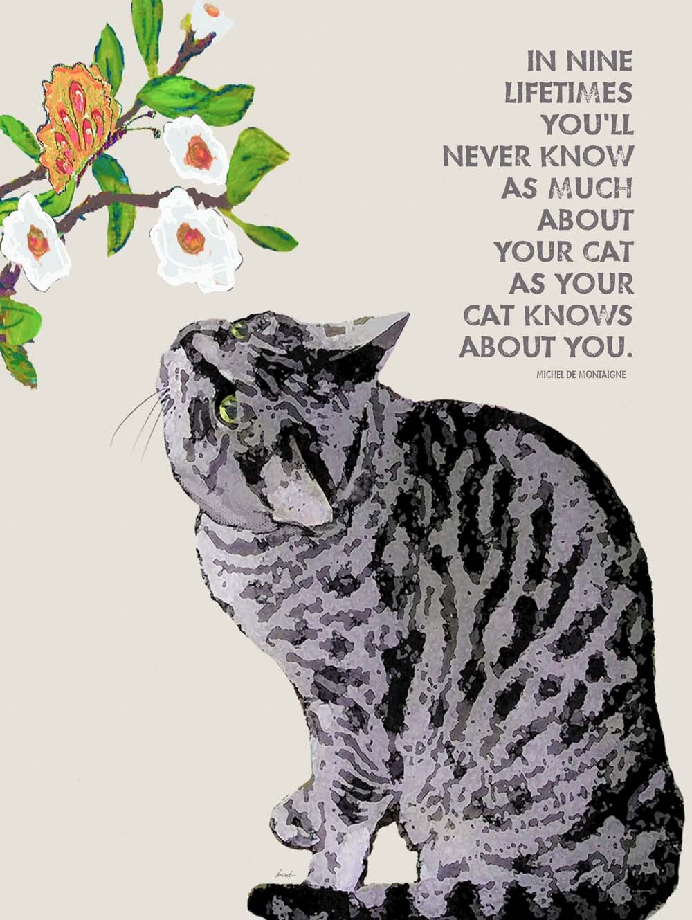 Gray Cat  4444-0036