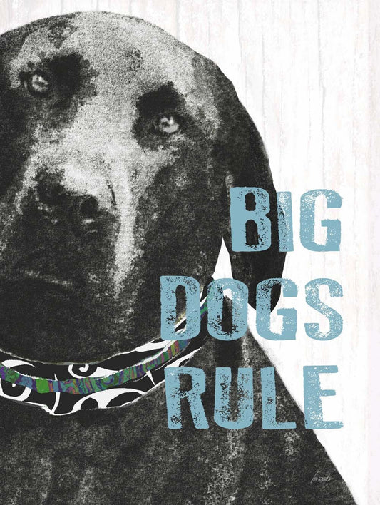 Big Dogs Rule  4444-0184